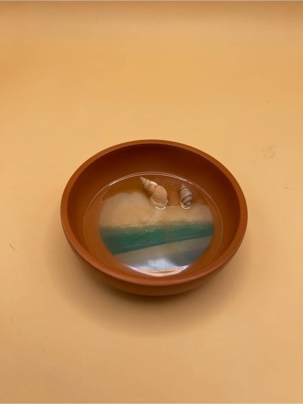 Terracotta Brown Nautical Trinket Dish, NEW